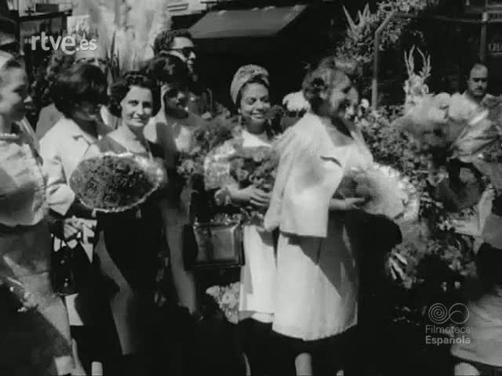 NOT N 1185 B - NO-DO | Ver