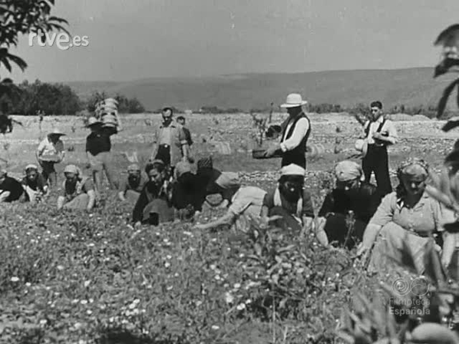 NOT N 546 B - NO-DO | Ver