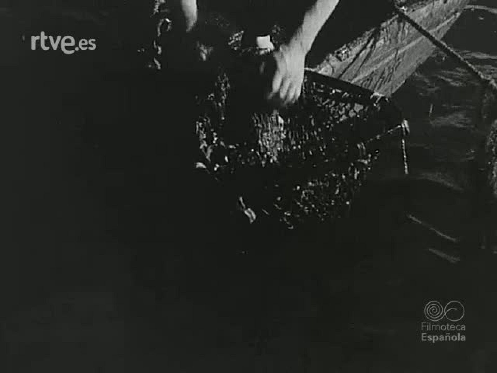 NOT N 512 A - NO-DO | Ver