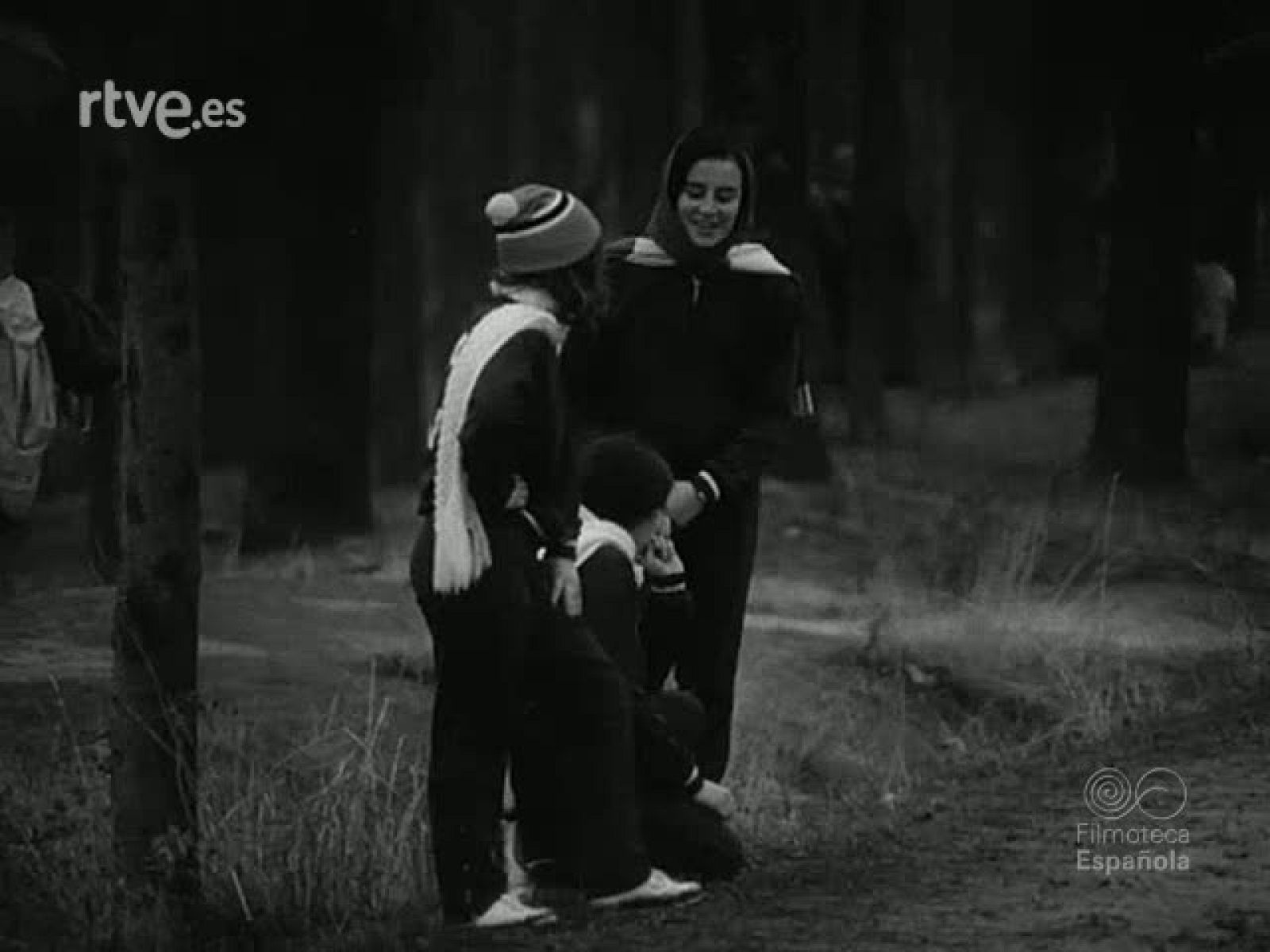 NOT N 1519 A - NO-DO | Ver