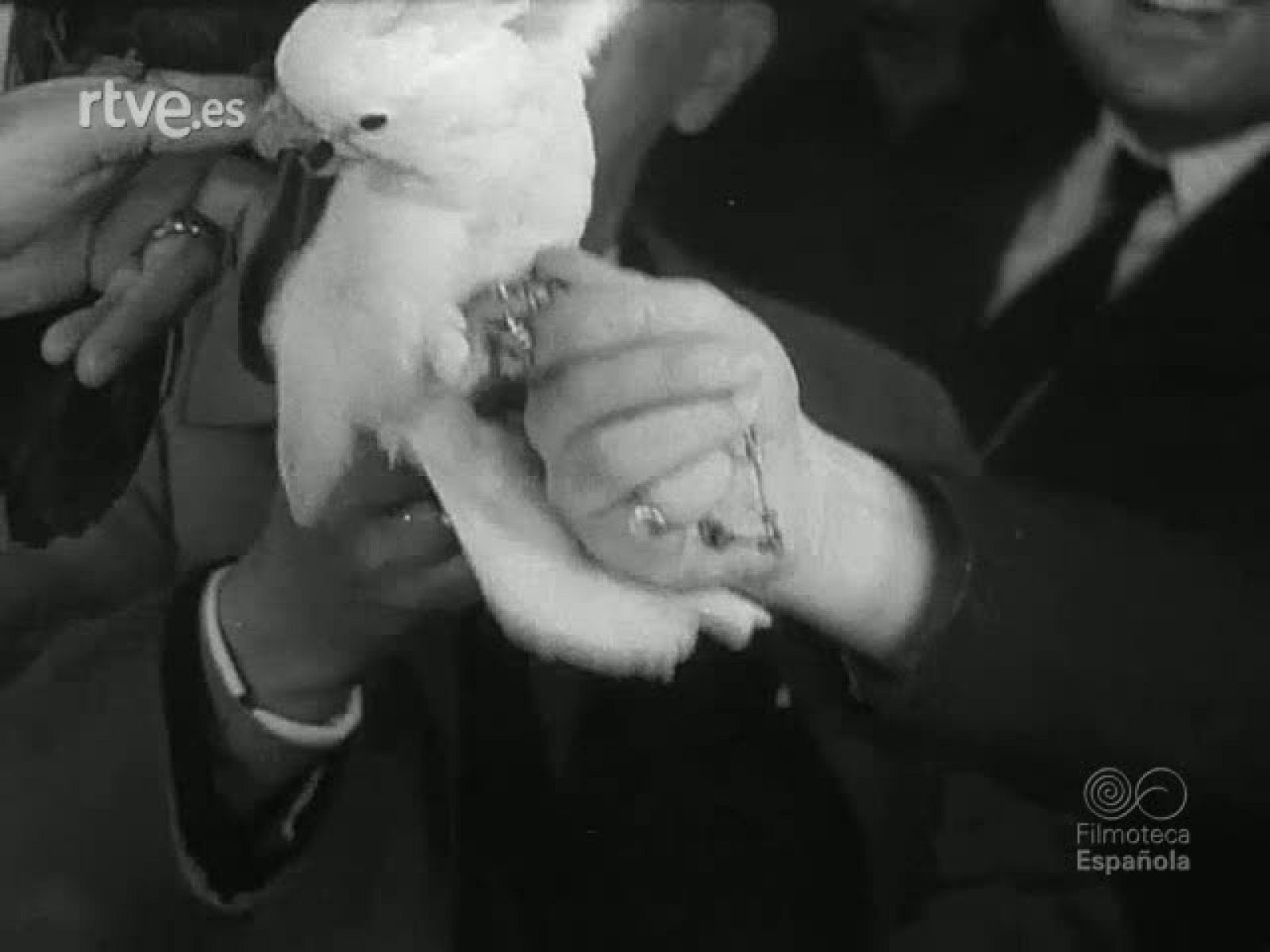 NOT N 315 B - NO-DO | Ver