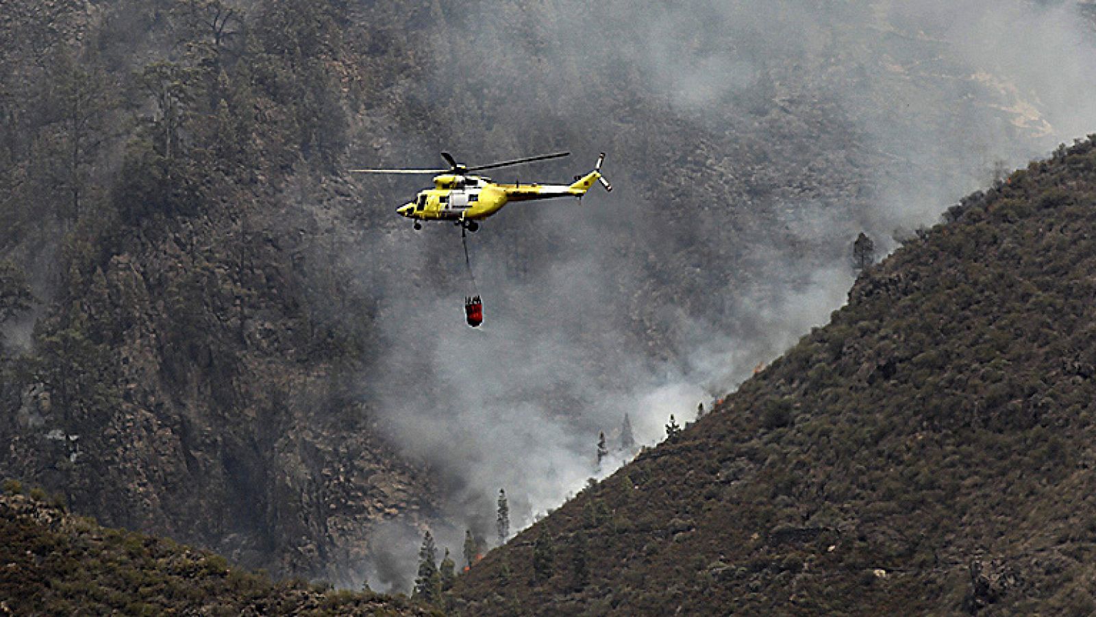 El fuego de Tenerife podría quedar estabilizado el martes - Informativo 24h | Ver