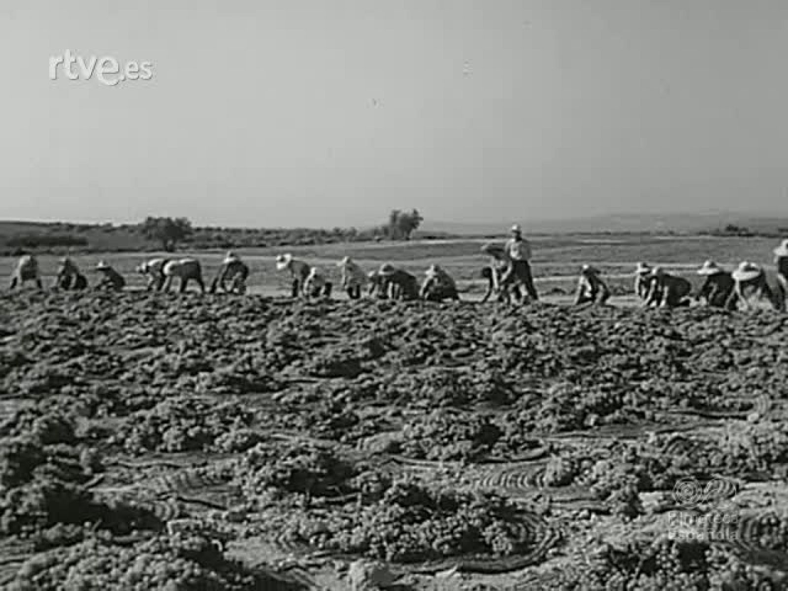 NOT N 1601 B - NO-DO | Ver