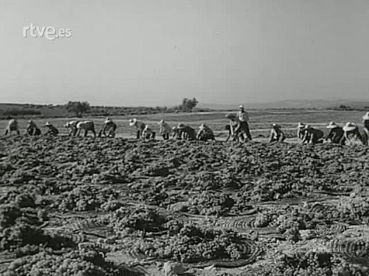 NO-DO - NOT N 1601 B