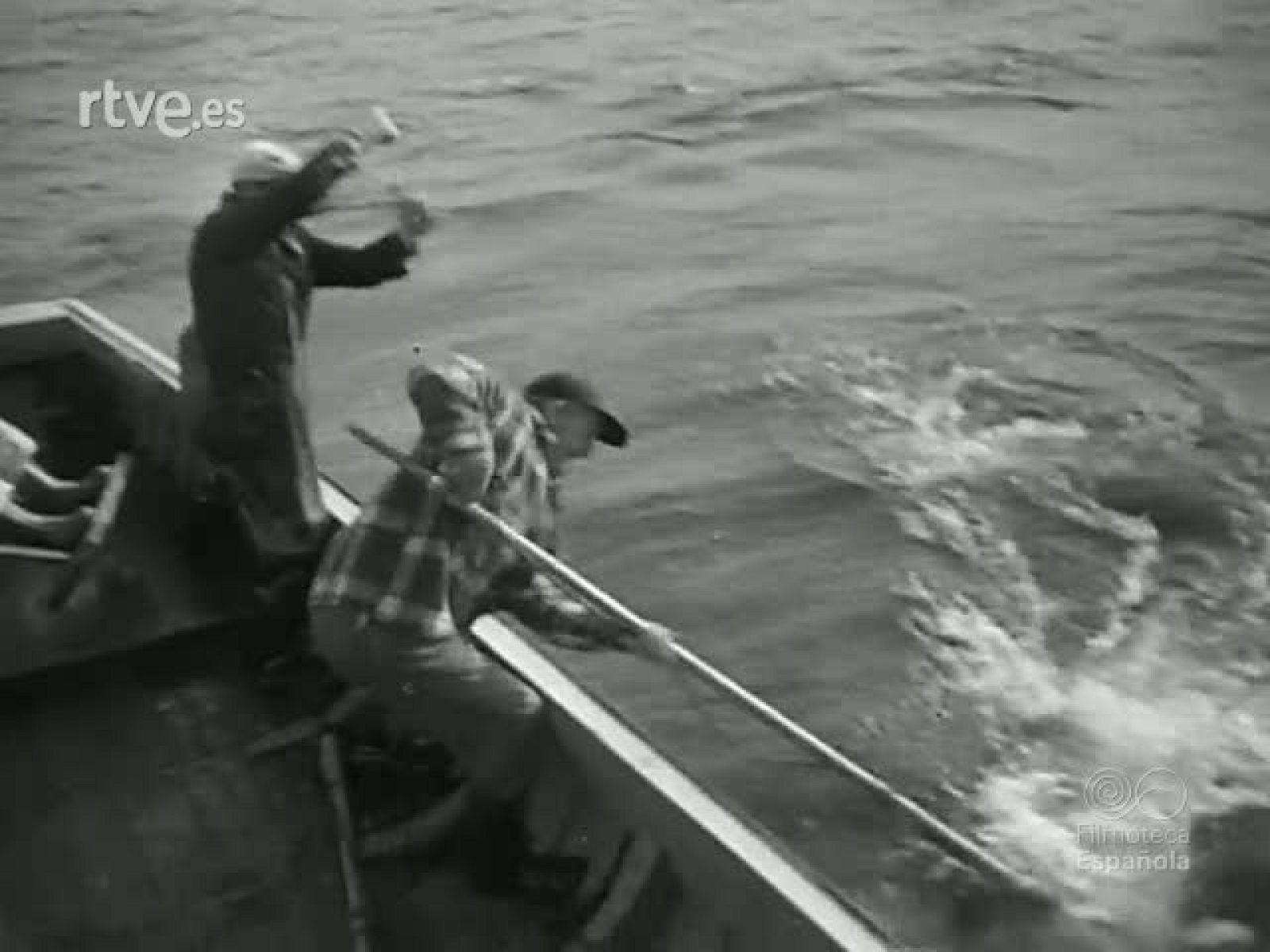 NOT N 509 A - NO-DO | Ver