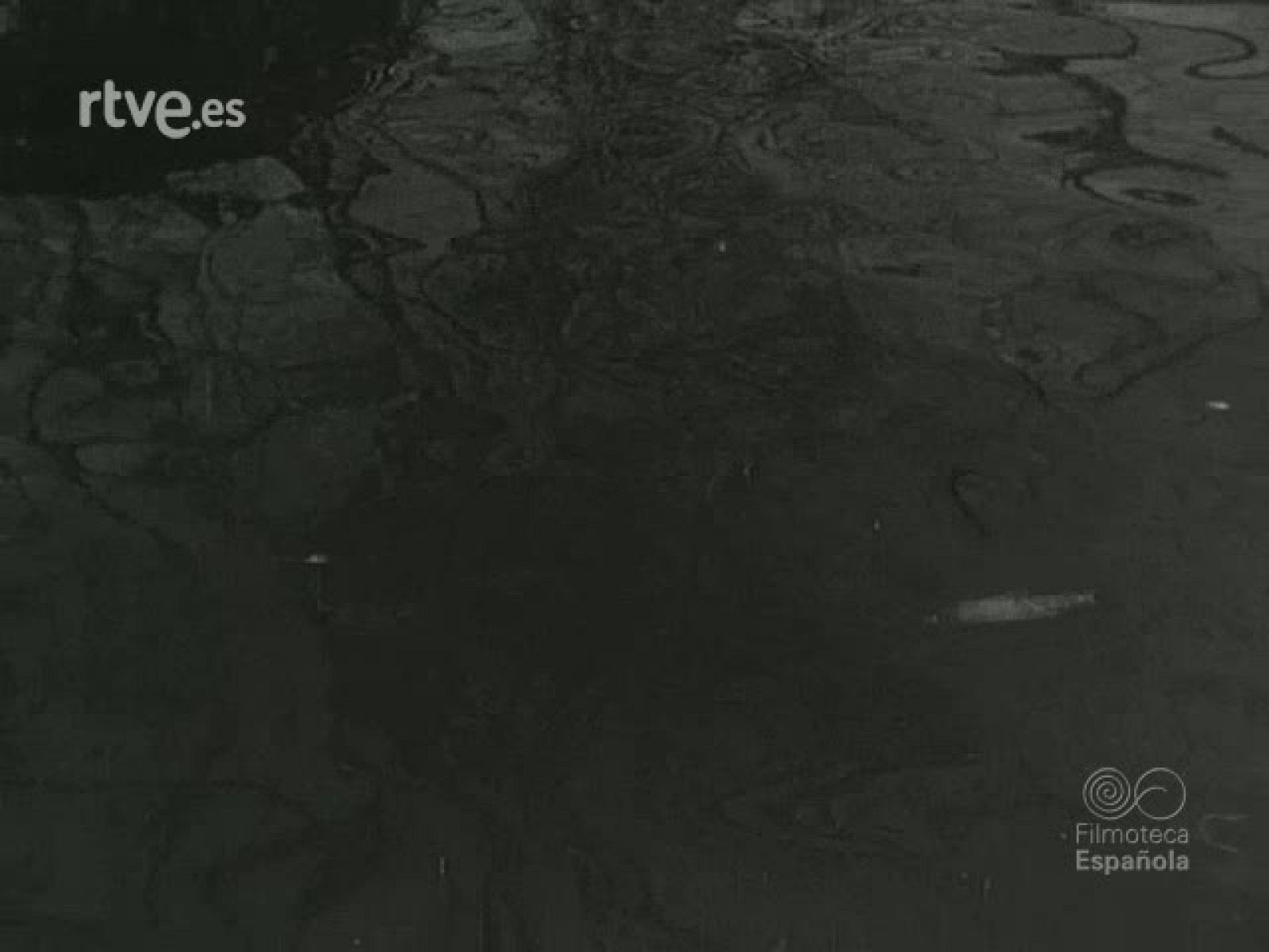 NOT N 481 A - NO-DO | Ver