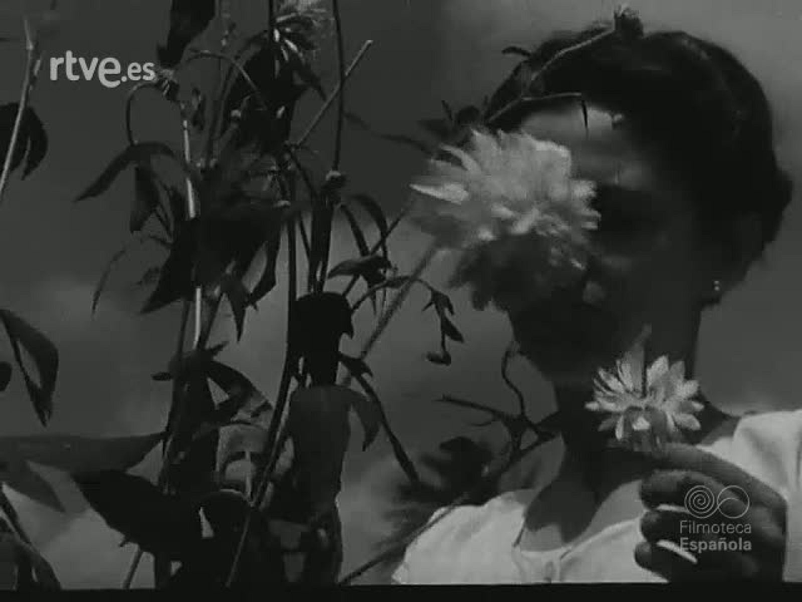 NOT N 501 A - NO-DO | Ver