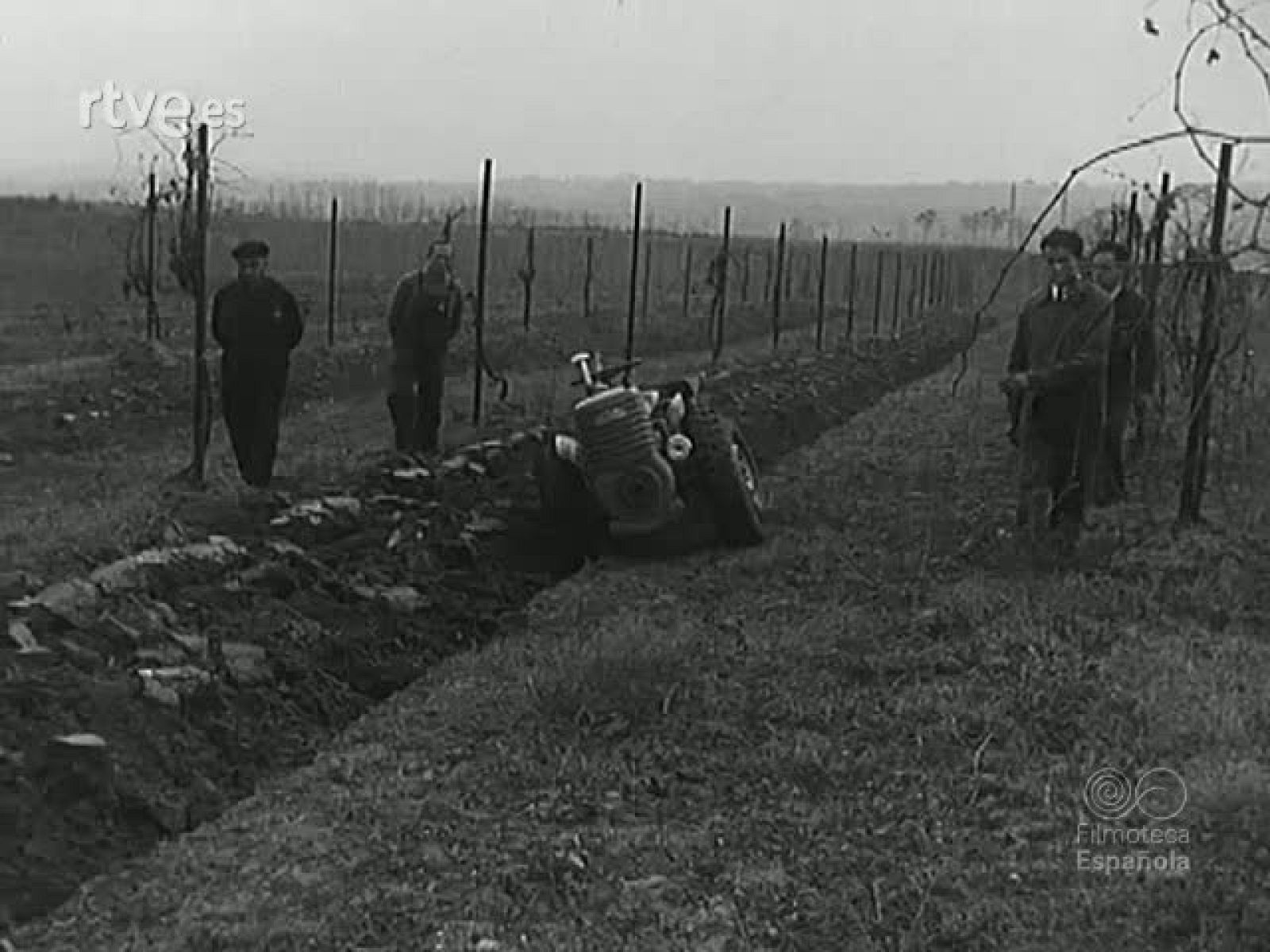 NOT N 470 A - NO-DO | Ver