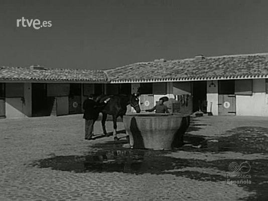 NO-DO - NOT N 1612 A