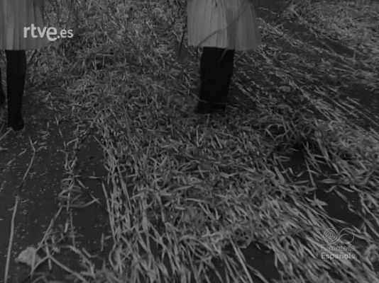 NO-DO - NOT N 1171 A