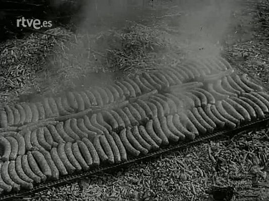 NO-DO - NOT N 1468 A