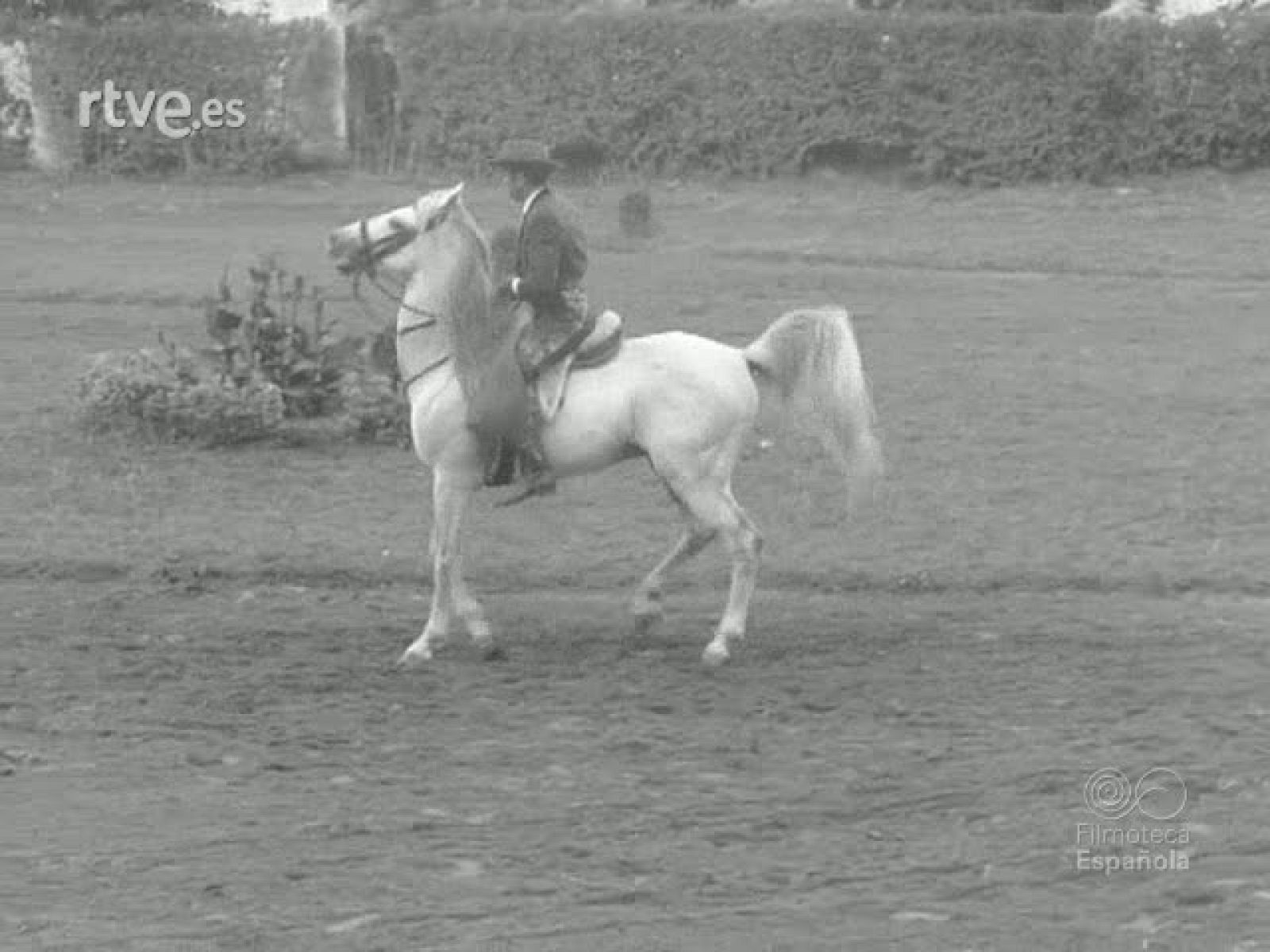 NOT N 1134 C - NO-DO | Ver