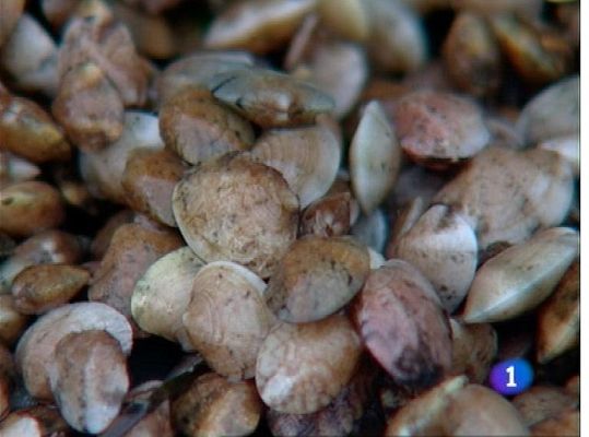 Panorama Regional - Asturias en 2' - 19/07/12