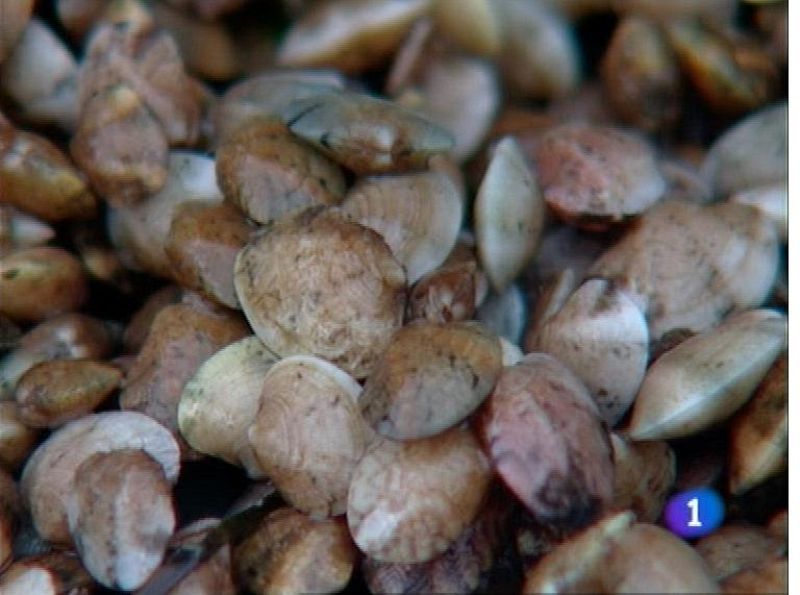 Asturias en 2' - 19/07/12 | Ver