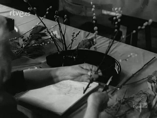 NO-DO - NOT N 1205 C