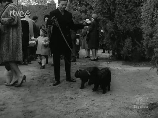 NO-DO - NOT N 1204 A