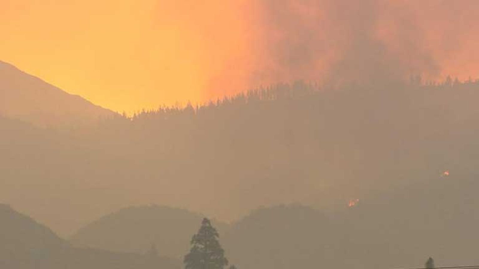 Uno de los frentes del incendio en Tenerife está ya estabilizado