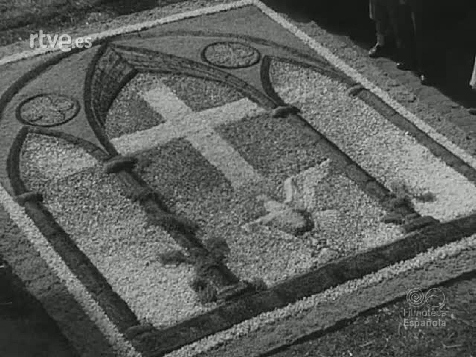 NOT N 495 A - NO-DO | Ver