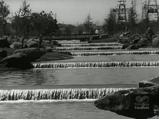 NO-DO - NOT N 1596 B