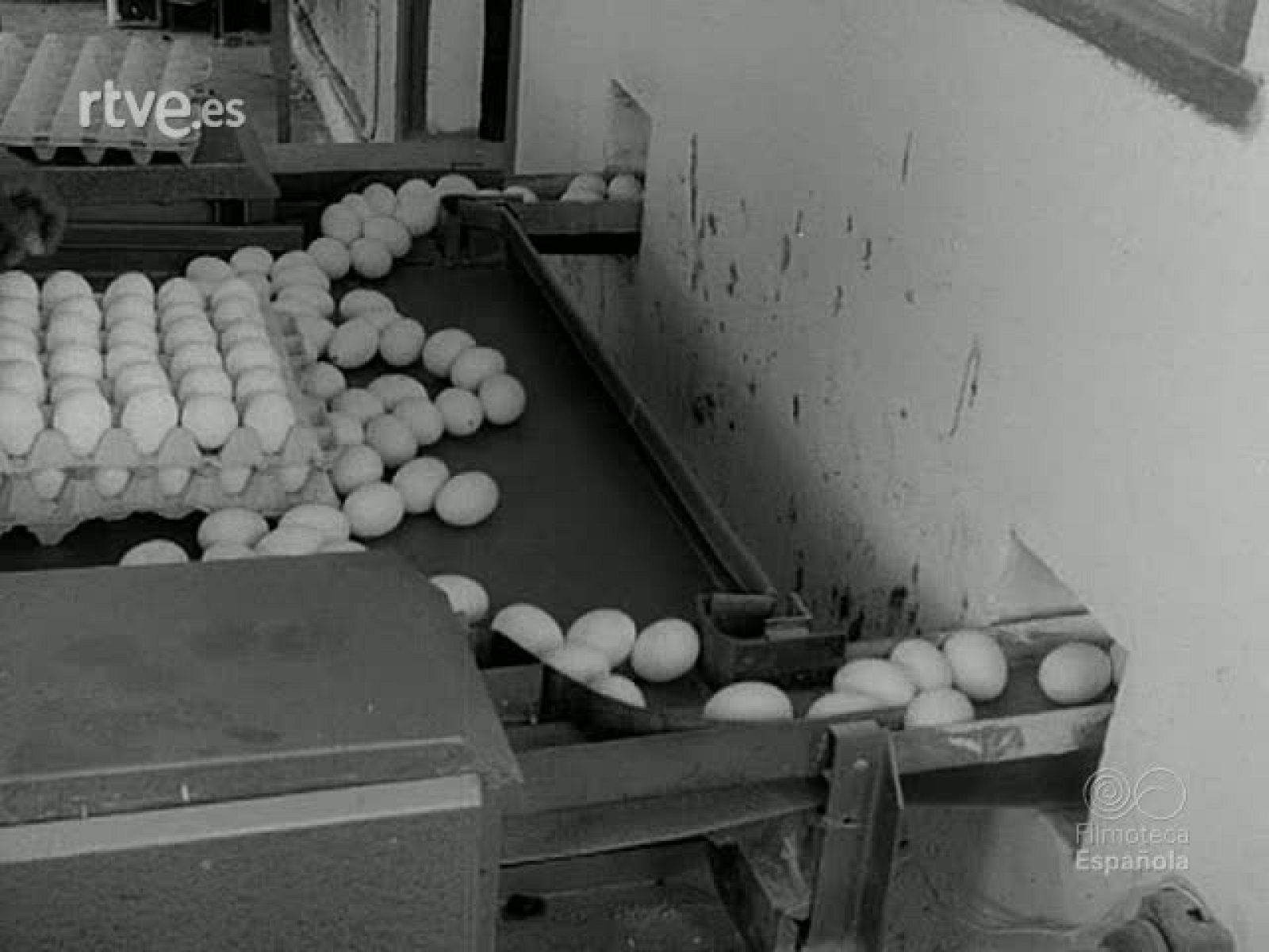 NOT N 1445 A - NO-DO | Ver