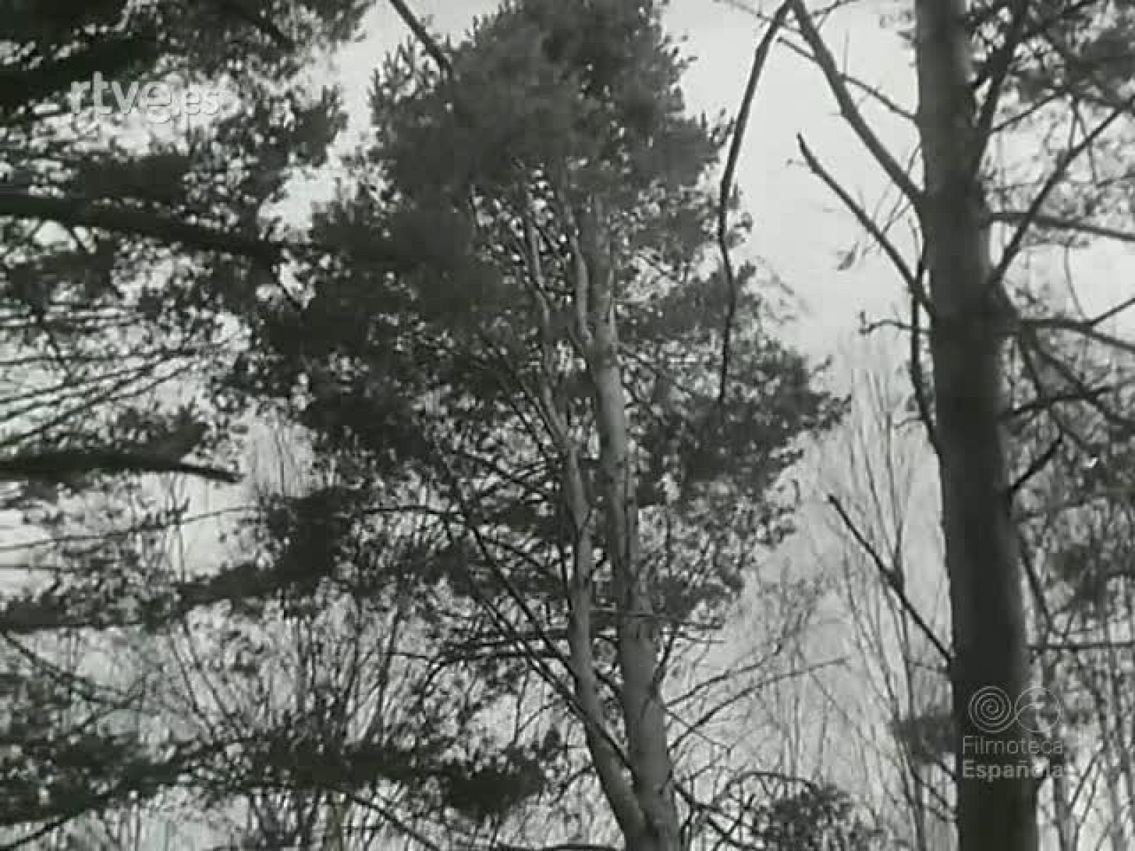 NOT N 948 A - NO-DO | Ver