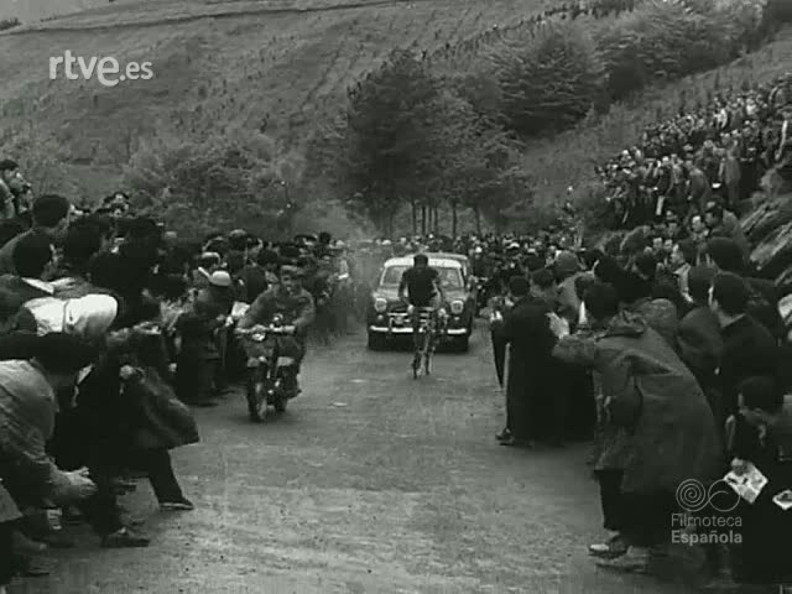 NOT N 956 B - NO-DO | Ver