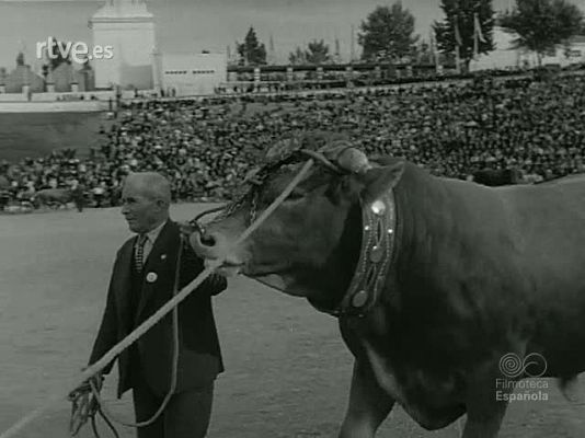 NO-DO - NOT N 1014 C