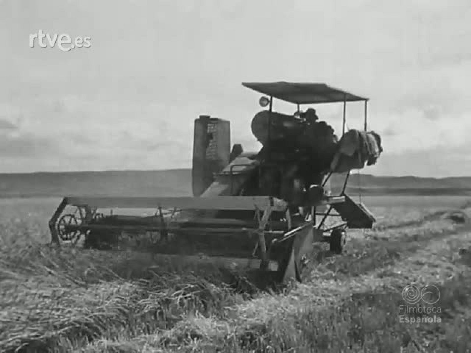 NOT N 448 B - NO-DO | Ver