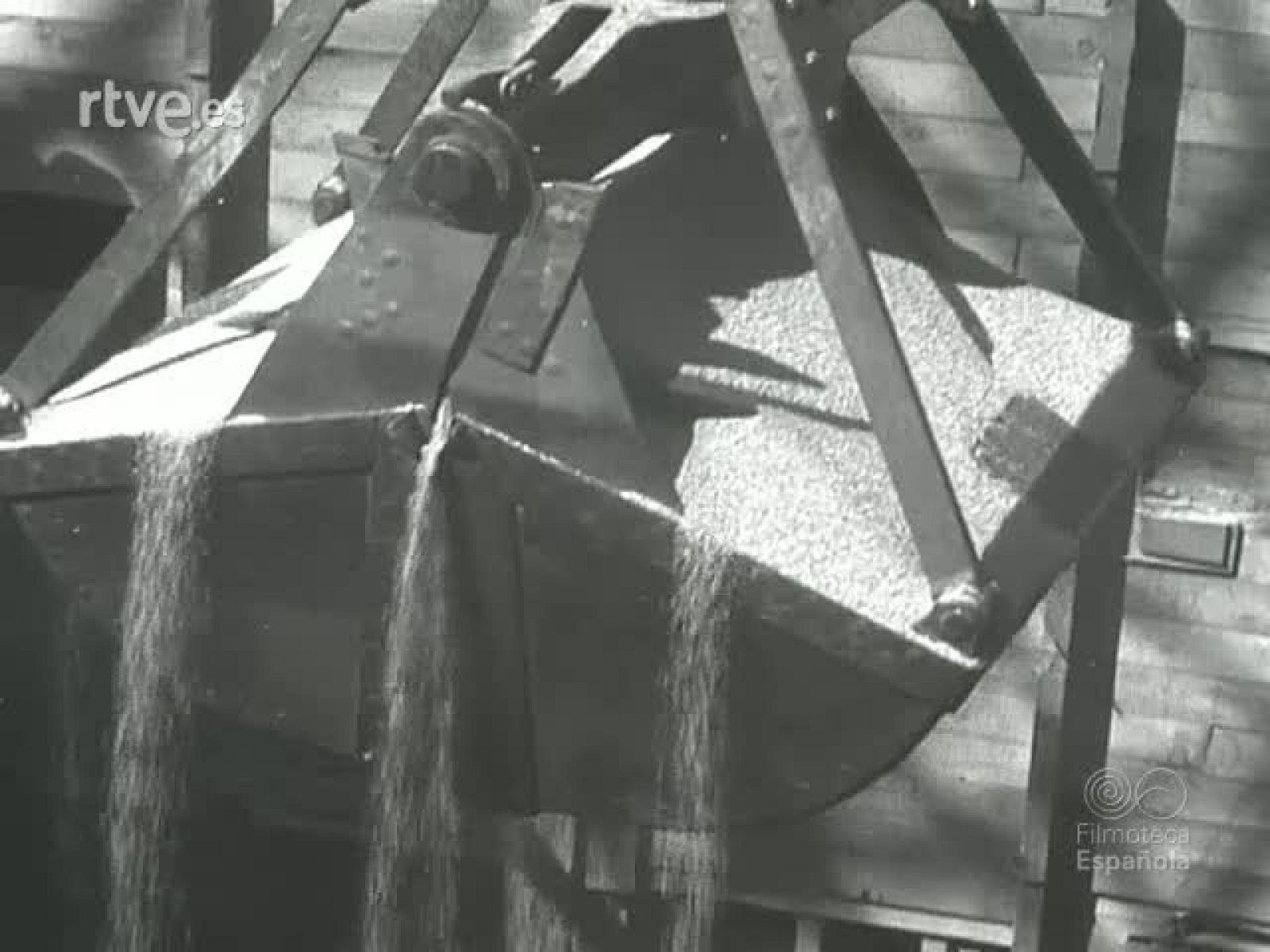 NOT N 446 A - NO-DO | Ver