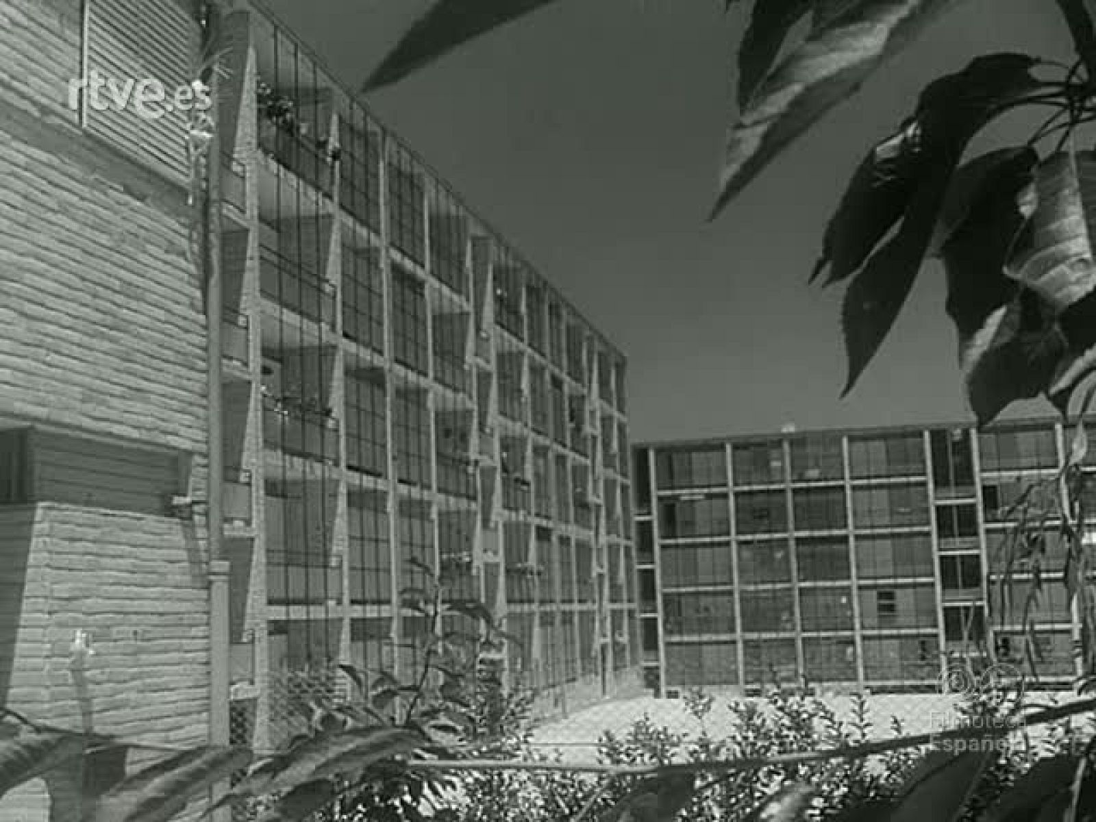 NOT N 963 C - NO-DO | Ver