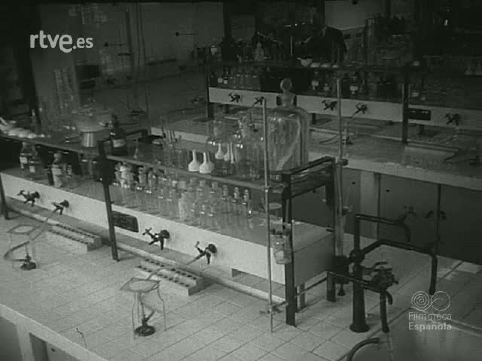 NOT N 1040 C - NO-DO | Ver