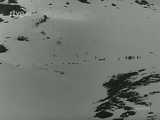 NO-DO - NOT N 1008 C