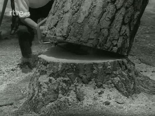 NO-DO - NOT N 1016 A