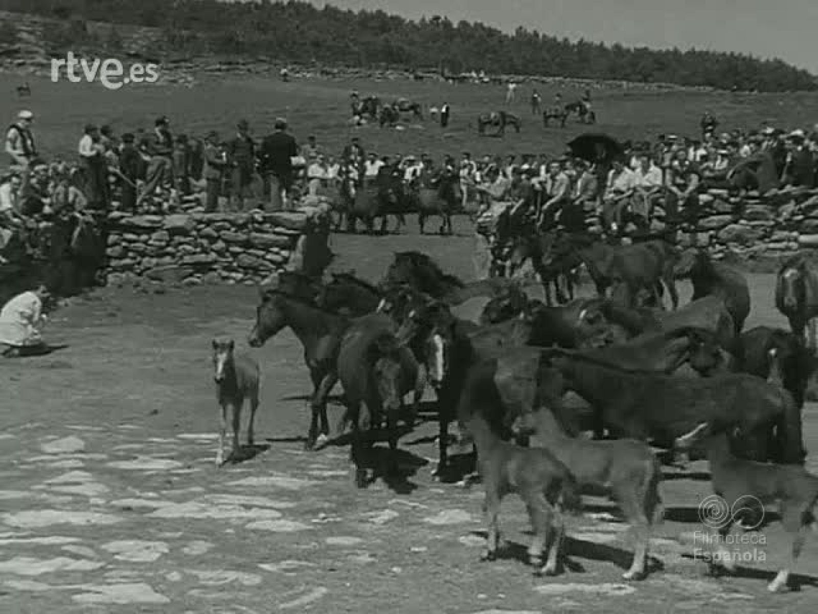 NOT N 1017 C - NO-DO | Ver