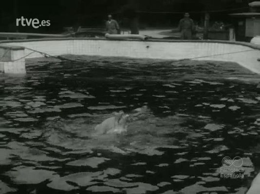 NO-DO - NOT N 1235 B