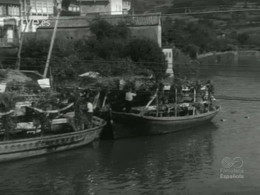 NO-DO - NOT N 1234 C