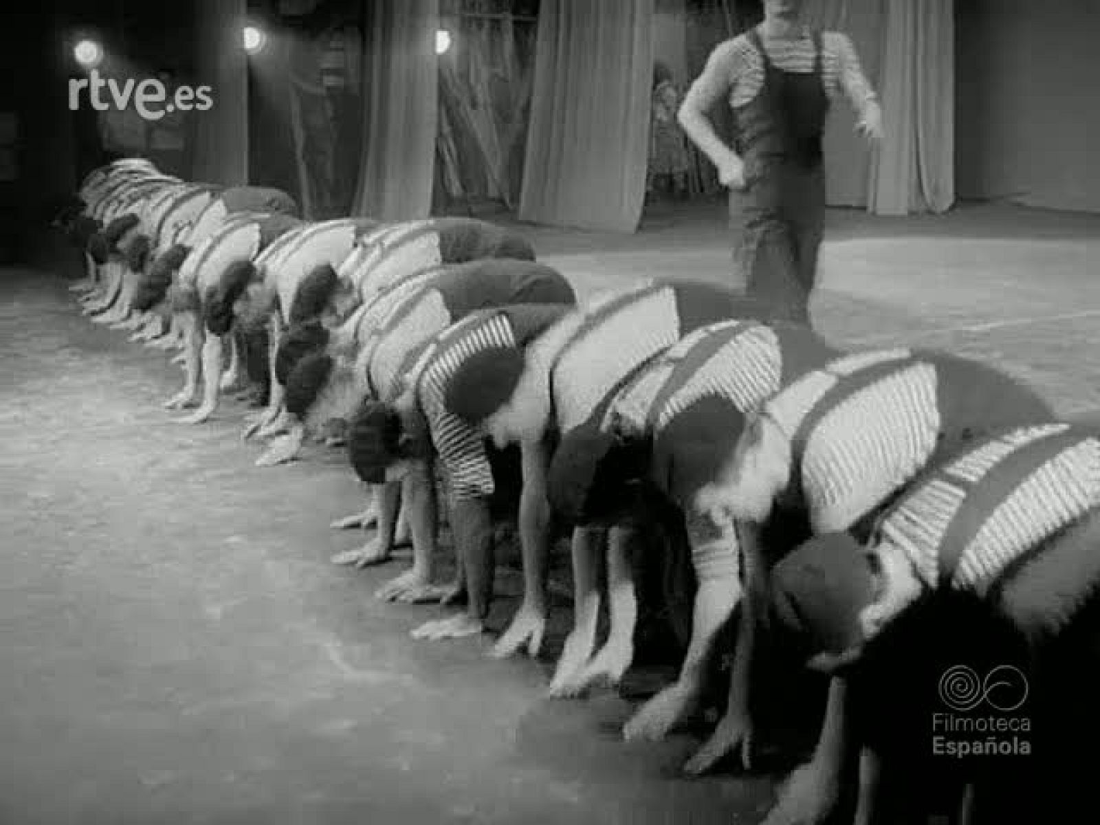 NOT N 1239 A - NO-DO | Ver