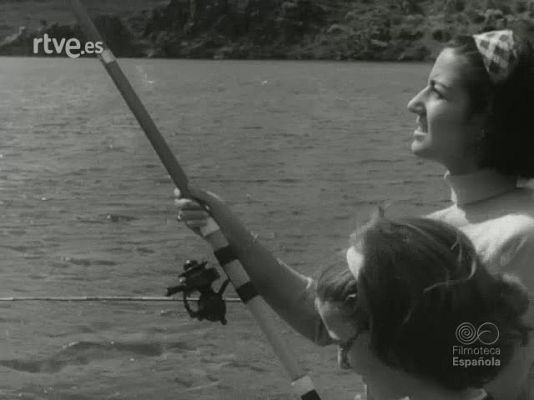 NO-DO - NOT N 1224 C