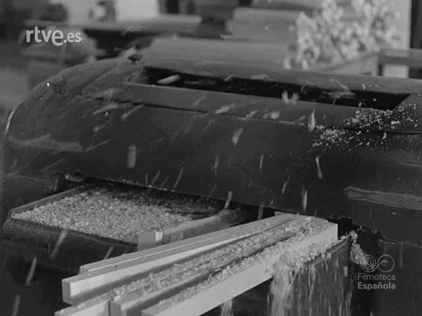 NOT N 1239 B - NO-DO | Ver