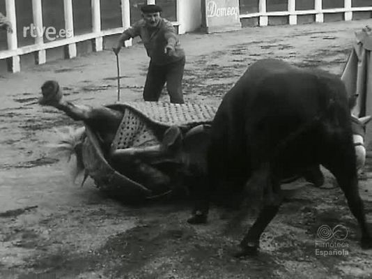 NO-DO - NOT N 1231 C