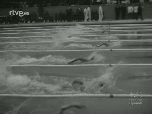 NO-DO - NOT N 1226 B