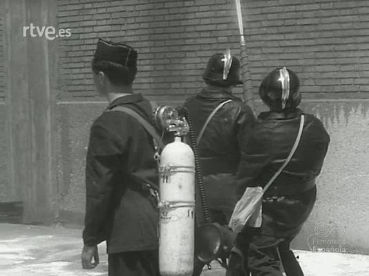 NO-DO - NOT N 1231 B