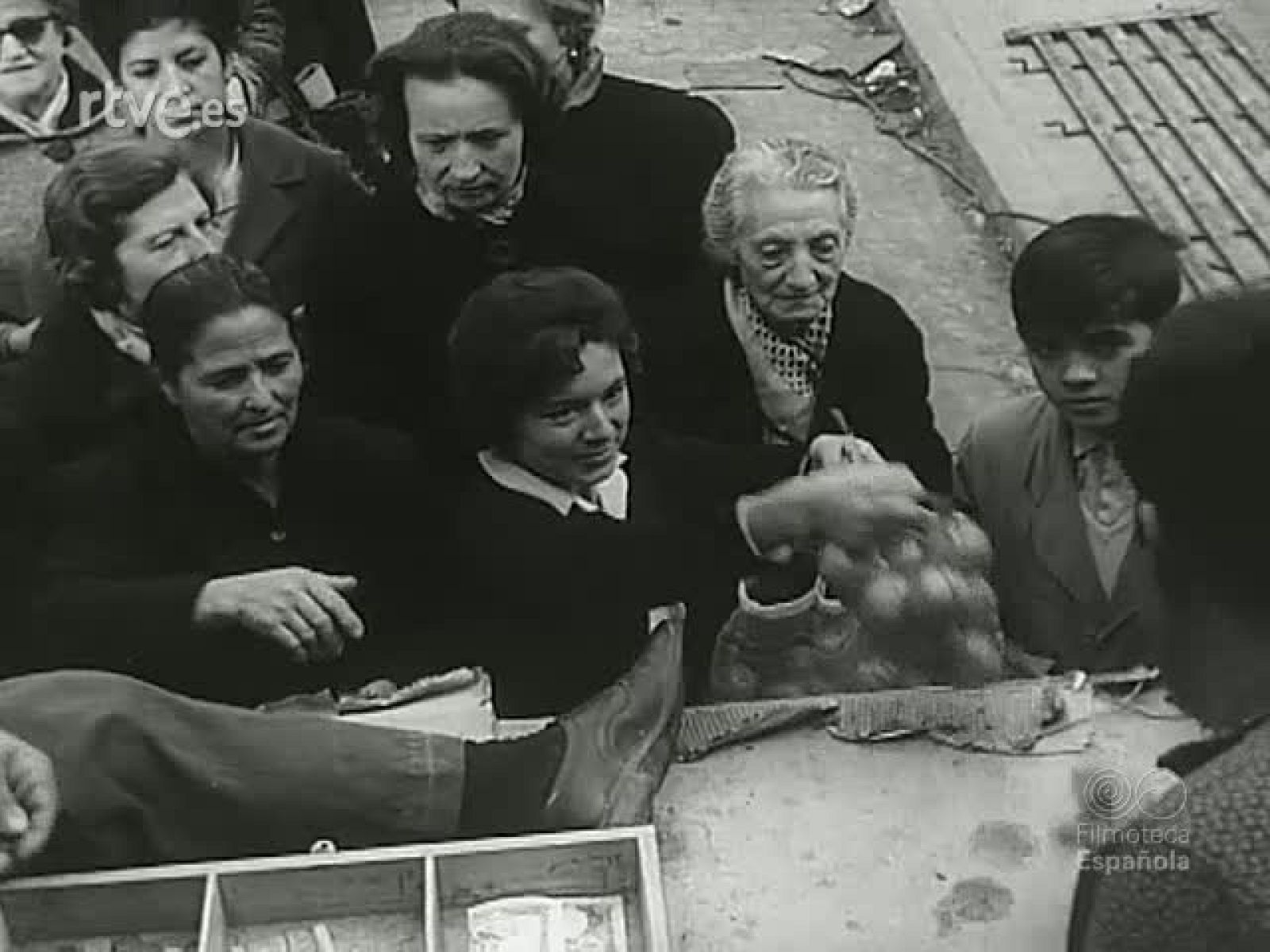 NOT N 1143 C - NO-DO | Ver