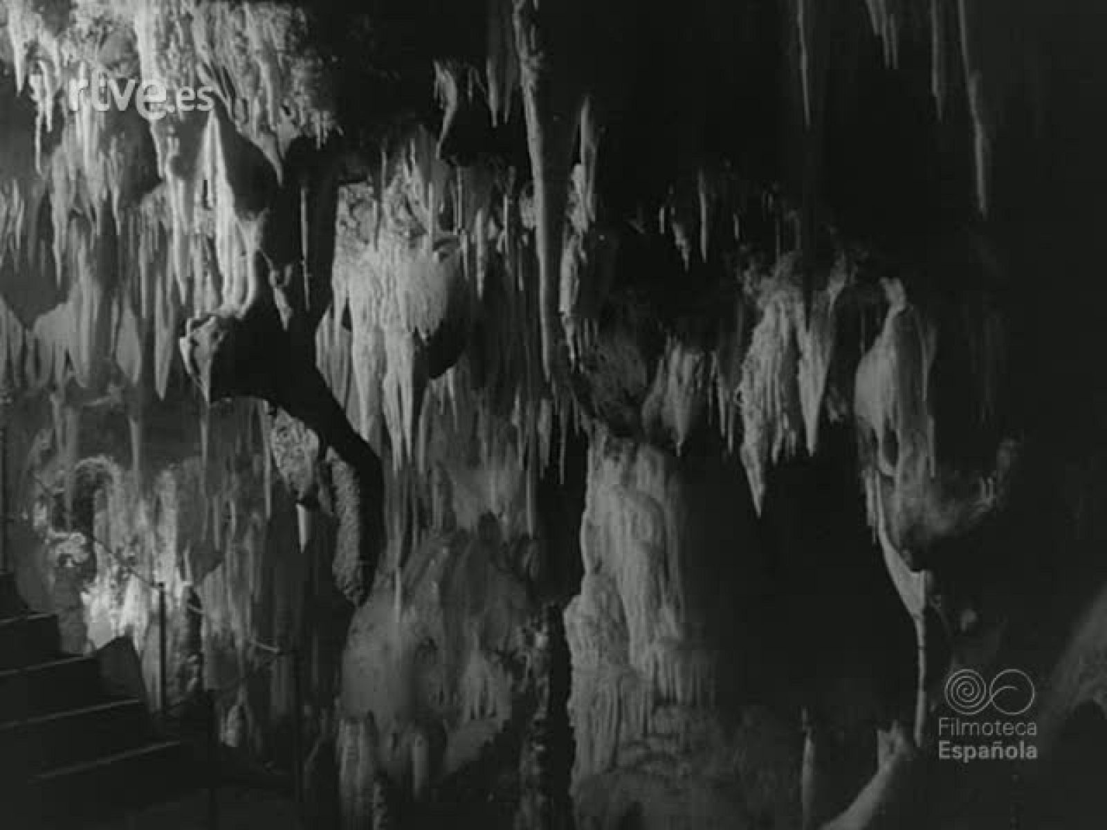 NOT N 1125 C - NO-DO | Ver