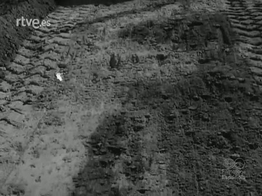 NO-DO - NOT N 1145 A