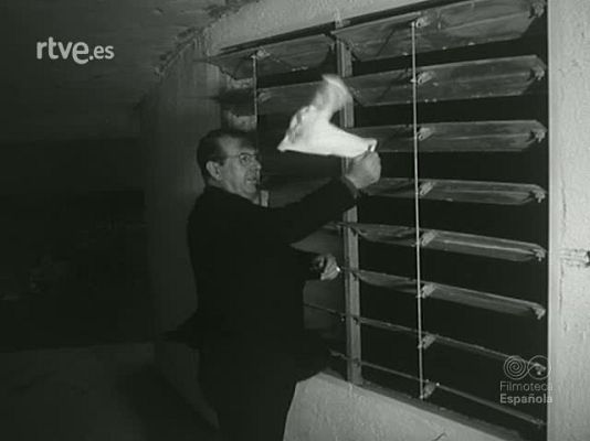 NO-DO - NOT N 1107 A