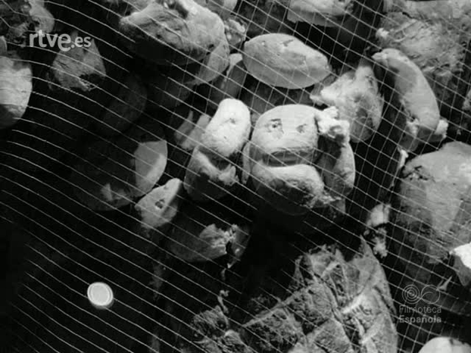 NOT N 1160 B - NO-DO | Ver