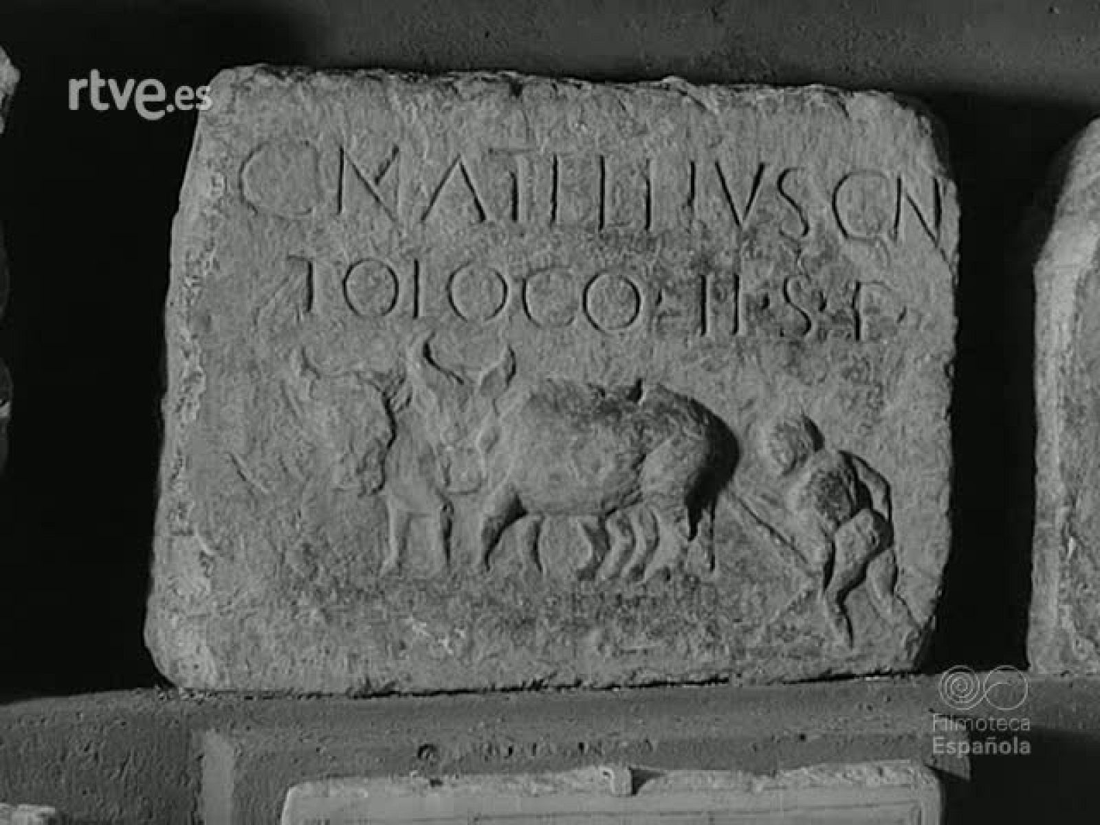 NOT N 1164 B - NO-DO | Ver