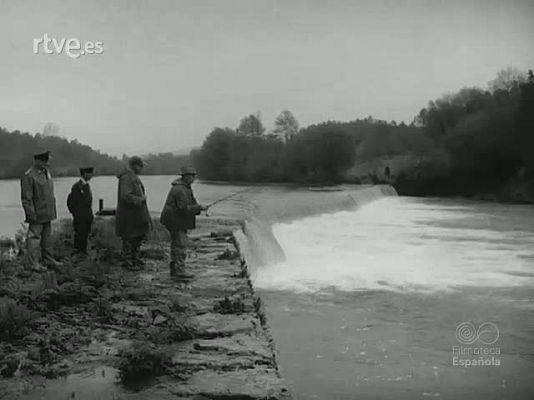 NO-DO - NOT N 1165 C