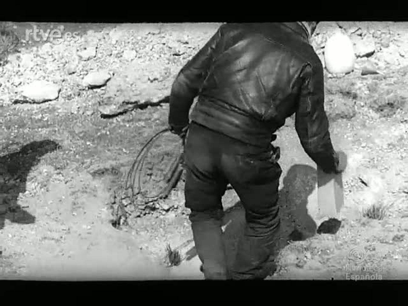 NOT N 1165 A - NODO | Ver